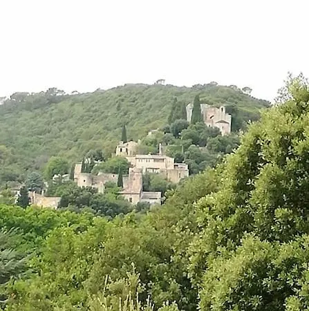 De Avec Piscine A Debordement فيلة La Roque-sur-Cèze
