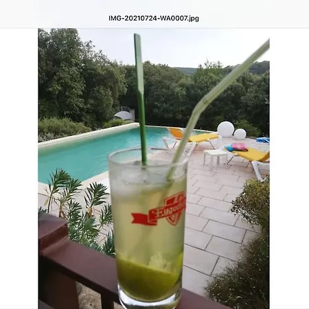 De Avec Piscine A Debordement فيلة La Roque-sur-Cèze
